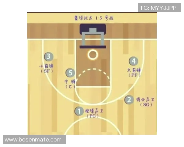 深入分析杭州篮球队防守策略与战术特点的专业解读 深入分析杭州篮球队防守策略与战术特点的专业解读